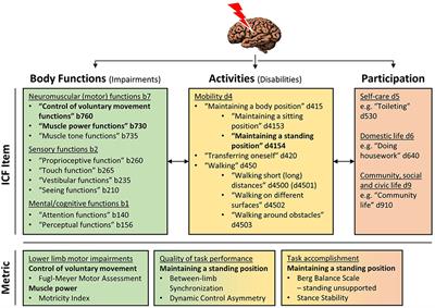 Frontiers Time Course And Mechanisms Underlying Standing Balance